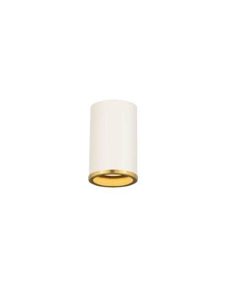 Z-Lite Arlo 1-Light Flush Mount Ceiling Light In Matte White With Rubbed Brass