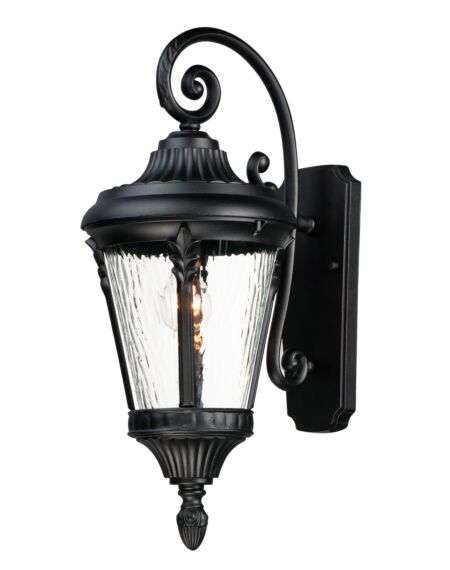 Sentry 1-Light Outdoor Wall Lantern in Black