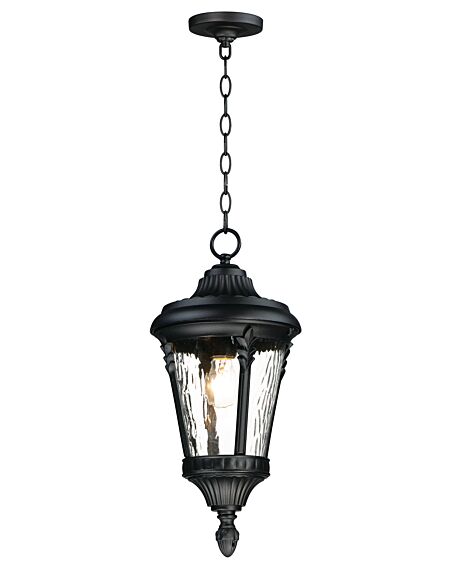 Sentry 1-Light Outdoor Hanging Lantern in Black