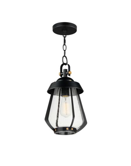 Mariner 1-Light Outdoor Pendant in Black with Antique Brass