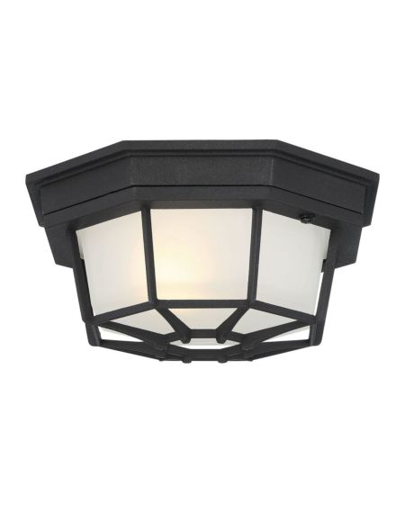 Exterior Collections Ceiling Light in Black
