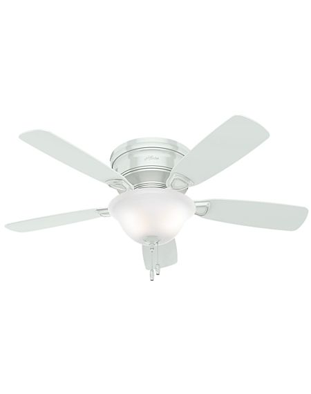 Low Profile 48-inch 2-Light Indoor Ceiling Fan
