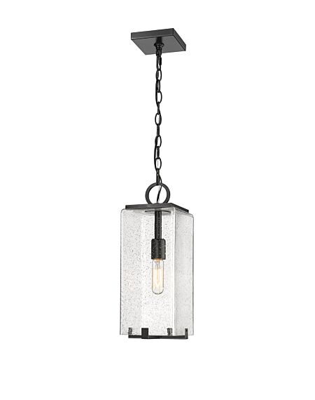 Z-Lite Sana 1-Light Outdoor Chain Mount Ceiling Fixture Light In Black