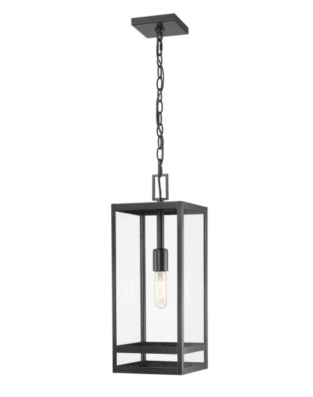 Z-Lite Nuri 1-Light Outdoor Chain Mount Ceiling Fixture Light In Black
