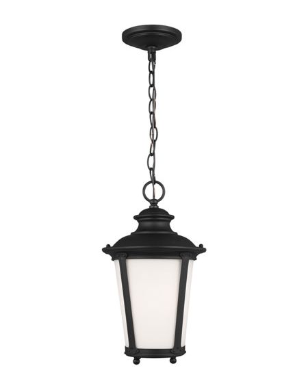 Generation Lighting Cape May Outdoor Hanging Light in Black