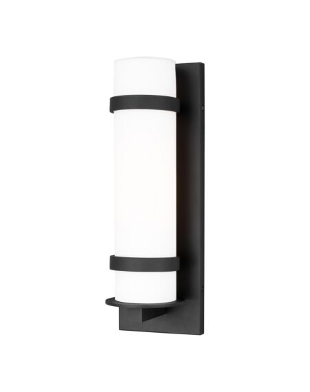 Alban 1-Light Outdoor Wall Lantern in Black
