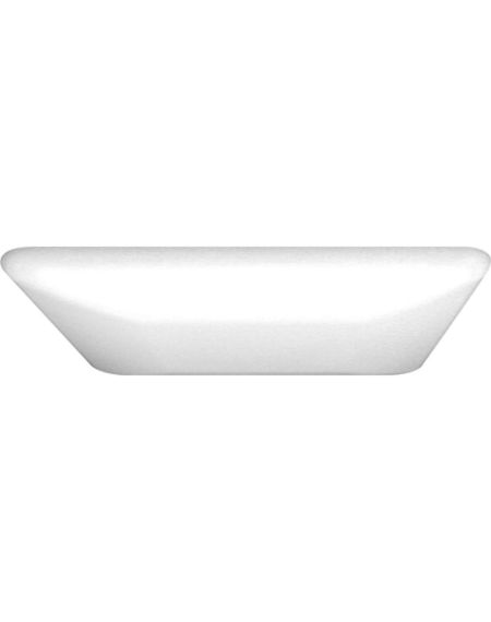Low Profile EE 2-Light White Acrylic Ceiling Light