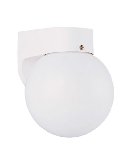 Outdoor Wall 1-Light Outdoor Wall Lantern in White