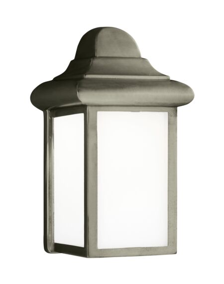 Mullberry Hill 1-Light Outdoor Wall Lantern in Pewter