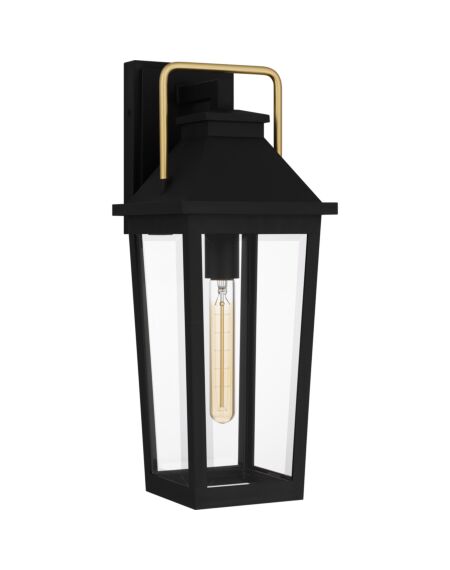Buckley 1-Light Outdoor Lantern in Matte Black