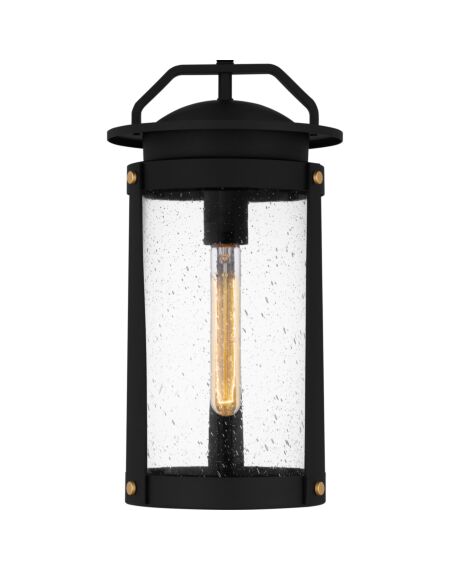 Clifton 1-Light Outdoor Hanging Lantern in Earth Black