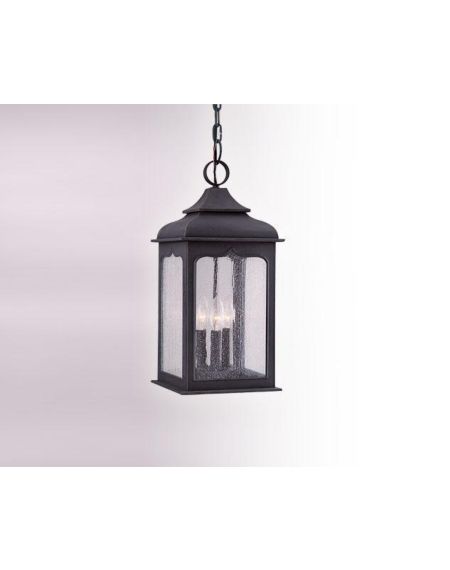 Henry Street 3-Light Outdoor Hanging Lantern