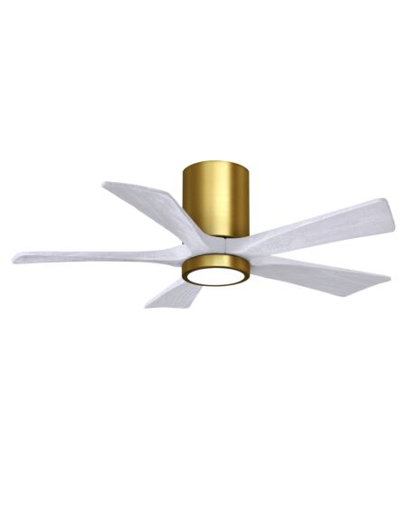 Irene 6-Speed DC 42" Ceiling Fan w/ Integrated Light Kit in Brushed Brass with Matte White blades
