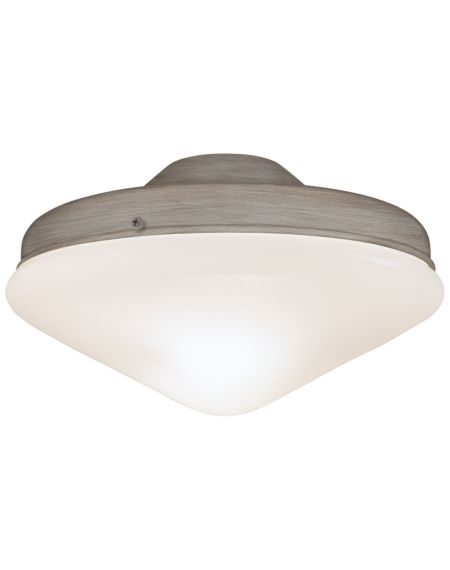 2-Light Ceiling Fan Light Kit in Driftwood