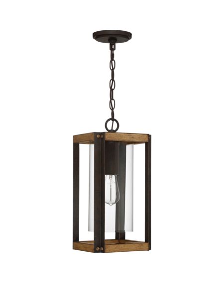 Marion Square Outdoor Hanging Light
