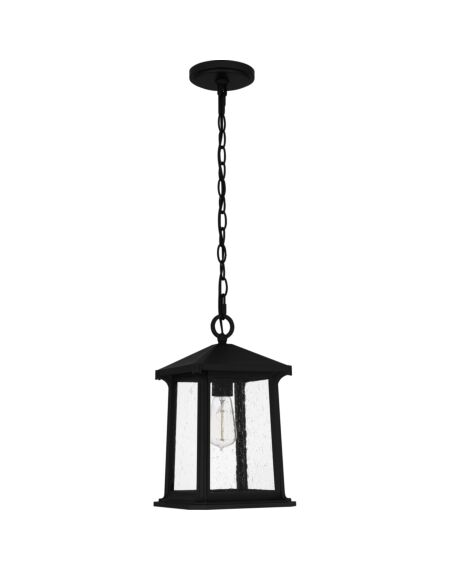 Satterfield 1-Light Outdoor Hanging Lantern in Matte Black